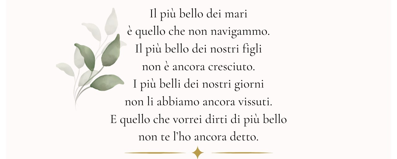 Vincenzo e Delfina Francesca's Wedding